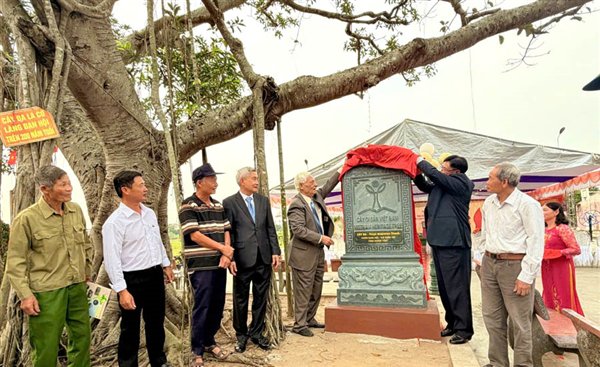 Ceremony to announce the 750-year-old Ruối tree and the 'Flag Leaf' Banyan tree in Diên Hà commune as Vietnam Heritage Trees